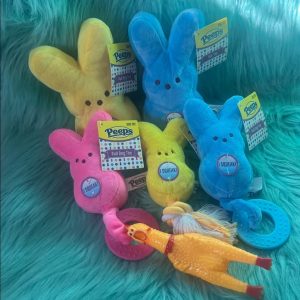 Plush Toy with Squeaker