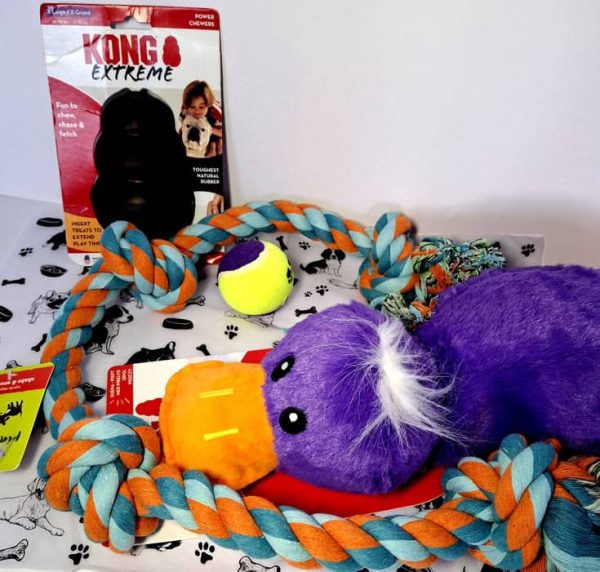 Plush Toy with Squeaker