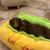 Dachshund Hot Dog Bed