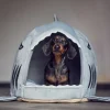 Shark Dachshund House