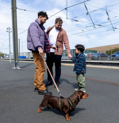 harrisheritageminidachshunds