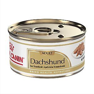 Royal Canin Dachshund Adult